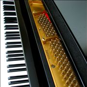 Keys of Grand Piano